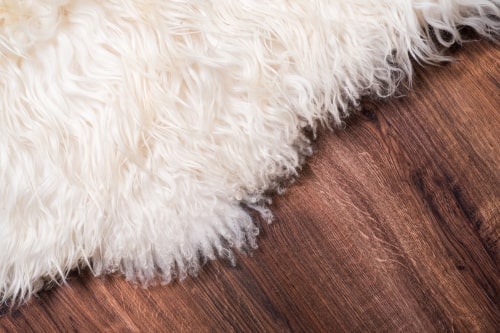 Jak utrzymać w dobrej kondycji wełniany dywan? Czyszczenie i pielęgnacja dywanów z wełny